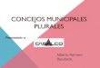 CONCEJOS MUNICIPALES PLURALES - Casalco Municipales... · 2019. 2. 20. · concejos municipales 2009 •todos los partidos polÍticos en nombre de organizaciones de la sociedad, proponen