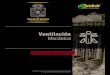 Ventilación Mecánica - Medichi · 2018. 11. 13. · Ventilación Mecánica Diploma Blended-Learning Independencia 1027, Independencia, Santiago de Chile (+562) 2978 6688,
