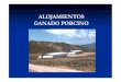ALOJAMIENTOS GANADO PORCINO · 2018. 9. 19. · ALOJAMIENTOS DE REPRODUCTORAS 1. Sueltas en grupo (no + de 10 animales) Areas de reposo: cubiertas y suelos bien aislados Areas de