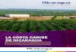 LA COSTA CARIBE EL CARIBE DE NICARAGUA · región centroamericana. La espectacular geografía de Nicaragua incluye cerca de 800 km de costas en el Pacífico y Caribe, 25 formaciones