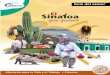 Guía del asesor · 2016. 2. 10. · El paquete modular El Sinaloa que quiero cuenta con materiales que apoyarán, facilitarán y enriquecerán el aprendizaje de las personas jóvenes