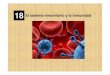 18 El sistema inmunitario y la inmunidad · 2019. 8. 3. · BARRERAS PRIMARIAS. Mecanismo de defensa externos. PIEL-Grosor de la piel-Proceso de queratinización y descamación.-Presencia