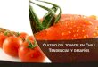 CULTIVO DEL TOMATE EN CHILE T - Fedefrutafedefruta.cl/.../1.1.-Cultivo-del-tomate-en-Chile... · Zona de Tomate indeterminado Superficie Doble cultivo Cosecha Quillota-Limache 760