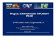 Programa Latinoamericano del Carbono (PLAC) Transp. 37,4% * Incluye Agua, ... gases efecto invernadero (GEI) mediante la participación del sector público, ... Canadá y Japón. Enfoque