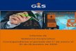 Informe de Evaluación Técnica de la ... - gys-sgr.com · Informe de las capacitaciones recibidas en materia de gobierno ... Gerente de Proyectos Informáticos. 1 de octubre de 2014