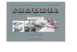 Anatomia Humana - Tomo I Cabeza y Cuello 11 Ed