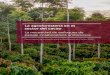 La agroforestería en el sector del cacao · 2021. 7. 26. · — 3 — 1. Deficiencias en el enfoque actual de la agroforestería del sector del cacao 1 A los agricultores certificados