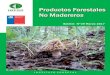 Boletín N°29 Marzo 2017 - Infor · 2017. 3. 21. · Productos Forestales No Madereros (PFNM) 4 Boletín N° 29|Marzo 2017 INSTITUTO FORESTAL En tercer lugar se ubica Taiwán con
