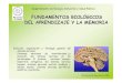 FUNDAMENTOS BIOLÓGICOS DEL APRENDIZAJE Y LA ...uhu.es/francisco.cordoba/asignaturas/FBAM/TEMAS PDF/4...Sistema nervioso periférico: somático y autónomo. Departamento de Biología