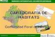 CARTOGRAFÍA DE HÁBITATS...Red Natura 2000 para cubrir las zonas que quedaron sin cartografía en la ampliáción y redelimitación de los espacios de la RN2000. • Actualización