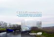Glifosato · 2020. 7. 21. · proteger nuestros ríos al medioambiente y a las personas, de la contaminación por glifosato. Los resultados muestran una amplia contaminación con