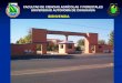 BIENVENIDA - Universidad Autónoma de Chihuahuauniq.uach.mx/documentos/1/SGC/1726dt/1864a/FCAyF... · 2015. 4. 24. · PRESENTACIÓN DE LA FCA y F FUNCIONES 4. GENERACIÓN DE PRODUCTOS