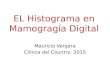 EL Histograma en Mamogragía Digital - unal.edu.co · 2015. 8. 28. · • El histograma es una herramienta que permite acceder a características exclusivas de la imagen mamográfica