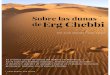 E r g Ch e b b i S o b r e las d u n as d e Chebbi.pdfS o b r e las d u n as d e E r g Ch e b b i 325 ',$1$ 6$1-,1e6 < 0$5& *$/9¡1 Es el único campo de dunas del Sahara en Marruecos