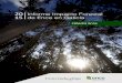Informe Economico Forestal Ence · 2021. 3. 9. · 4 1 CADENA FORESTAL‐MADERA EN GALICIA El análisis de la cadena forestal-madera en Galicia, se ha basado en el trabajo publicado