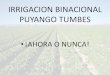 IRRIGACION BINACIONAL PUYANGO TUMBES · CALCULO DEL INCREMENTO DEL EMPLEO EN TUMBES / PERU (en puestos de trabajo por cada millón de producción agrícola adicional) 0 - 4 5 - 13