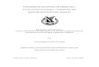 UNIVERSIDAD AUTÓNOMA DE CHIHUAHUArepositorio.uach.mx/306/1/Tesis.pdf · 2020. 11. 4. · universidad autÓnoma de chihuahua facultad de contadurÍa y administraciÓn secretarÍa
