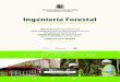 Ingeniería Forestal - Admision · 2020. 9. 8. · Ingeniería Forestal Facultad de Ciencias Forestales y Recursos Naturales Esta información está sujeta a actualización. Datos