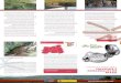 DL: ROBLEDALES DE RIAZA · 2020. 10. 11. · de este viaje. En este folleto encontrarás una breve descripción del Camino Natural de los Hayedos y Robledales de Riaza, y la cartografía