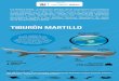 TIBURÓN MARTILLO · 2021. 5. 3. · TIBURÓN MARTILLO Alimentación Se alimenta de una amplia variedad de presas como peces óseos, tiburones, rayas e invertebrados. La Alianza WWF