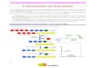 5. METABOLISMO del GLUCÓGENO - bioBIR apuntes BQ BIR.pdffarmaFIR Bioquímica FIR 2019 95 - Debido al diferente papel del glucógeno muscular y el hepático, la regulación difiere