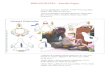 BIBLIOGRAFÍA - Estrella Fages-Colega 2: Carpeta de Recursos. EDELSA. Madrid. 2010. ISBN: 978-84-7711-674-5-Proyecto PENSALO. 25 cuentos matemáticos. Encarna Castro y otros. San José