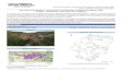Plan básico de gestión y conservación del Espacio Protegido ......1310 - Miniopterus schreibersii 3 U1: 1324 - Myotis myotis 3 U1: - 3 - LIC/ZEC - ES2420128 - Estrechos del río