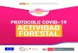 PROTOCOLO COVID-19 ACTIVIDAD FORESTAL - Portal de la ... · Vigilancia y control de la plantación Establecimiento y mantenimiento de plantaciones forestales Instalación y manejo