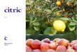 Brochure Citric 2020-150dpi...Nuestro clásico jugo de naranja está realizado con naranjas seleccionadas de las variedades Marrs, Early, Salustiana, Westin y Valencia. Preserva la