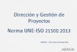 Dirección y Gestión de Proyectos Norma UNE-ISO 21500:2013...• Cartera de Proyectos. Conjunto de proyectos, programas y otro tipo de trabajos que se agrupan para facilitar la gestión