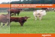 INFORME EL VACUNO EXTENSIVO EN ESPAÑA...La producción de carne de vacuno en España supone el 15% de la Producción Final Ganadera, (3º tras porcino y vacuno de leche) y mantiene
