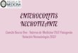 ENTEROCOLITIS NECROTIZANTE - salud infantilEnterocolitis Necrotizante (NEC): Deﬁnición No es simplemente una entidad patológica, sino más bien un espectro de condiciones. Desenlace