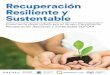 Recuperación Resiliente y Sustentable€¦ · de infraestructura sanitaria para la gestión de residuos, como por ejemplo eximiendo de los permisos de edificación a estructuras