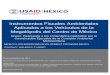 Instrumentos Fiscales Ambientales Aplicados a los Vehículos ...Instrumentos Fiscales Ambientales Aplicados a los Vehículos de la Megalópolis del Centro de México Anexo: Respuesta