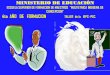 Presentación de PowerPoint - Ministerio de Educacióneduca.minedu.gob.bo/assets/uploads/files/cont/esfm/esfm133-zrqi.pdf · crítica, reflexiva, participativa y comunitaria de las
