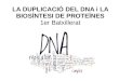LA DUPLICACIÓ DEL DNA i LA BIOSÍNTESI DE PROTEÏNEScosmolinux.no-ip.org/recursos_aula/BIO1erBAT/Genetica... · 2019. 6. 4. · Flux de la informació genètica.Segons el dogma de