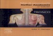 Netter, F.H., Netter. Anatomía. Fichas de autoevaluación: Tronco, … · 2019. 4. 24. · humana como sólo Netter puede hacerlo. El conjunto, editado en tres volúmenes, está
