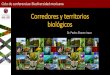 Corredores y territorios biológicos - Biodiversidad Mexicana · 2019. 10. 25. · 15 años del Corredor Biológico Mesoamericano-México Cubierta arbórea 2008-2010 Municipio Marqués