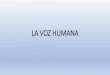 LA VOZ HUMANAiestrayamar.es/files/LA_VOZ_HUMANA.pdf · 2020. 10. 19. · La voz humana se puede considerar un instrumento musical . En la producción de la voz podemos distinguir