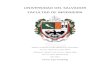 UNIVERSIDAD DEL SALVADOR FACULTAD DE INGENIERÍA¡ginas... · 2019. 7. 19. · Proyecto final de ingeniería en informática - Javier Puig 6 ... papers, tesis, y de ser posible, entrevistas