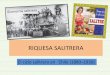 Presentación de PowerPoint - Instituto Cecal€¦ · El ciclo salitrero en Chile (1880–1930) SALITRE ... 1. Construcción de líneas férreas desde Iquique hasta Puerto Montt