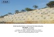REGISTRO PROFESIONAL P&P LTDA. · 2020. 9. 1. · Drenes horizontales y verticales Galerías y túneles Inyecciones de lechada de cemento portland para sellado de grietas para la