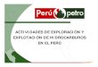 Presentación de PowerPoint - PeruPetro