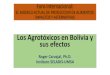 Los Agrotóxicos en Bolivia y sus efectos