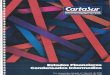 CartaSur – Efectivo más rápido y más facil