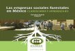 Las empresas sociales forestales en México CLAROSCUROS Y 
