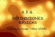 S.I.G. DEFINICIONES BÁSICAS - UPM