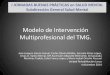 Modelo de Intervención Multiprofesional del TMG