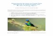 Observación de aves en Costa Rica: paraíso de la 
