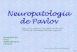 Neuropatologia de Pavlov - Homeopatia Explicada